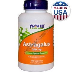 Астрагал, Astragalus, Now Foods, 500 мг, 100 капсул