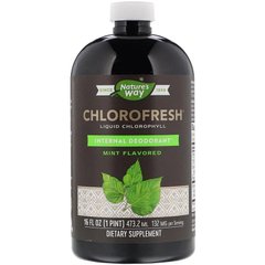 Жидкий хлорофилл, мятный вкус, Chlorofresh, Nature's Way, 473 мл
