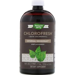Жидкий хлорофилл, натуральный вкус, Chlorofresh, Nature's Way, 473 мл