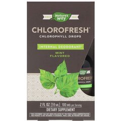 Хлорофилл жидкий концентрированный, вкус мяты, Nature's Way, Chlorofresh,  59 мл